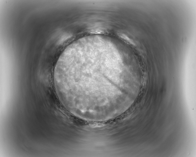 X0000084551446200703161638