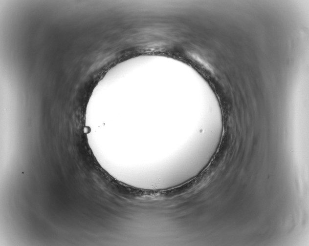 X0000084551447200703161638