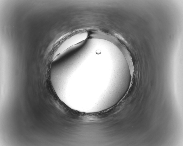 X0000084551448200703161638