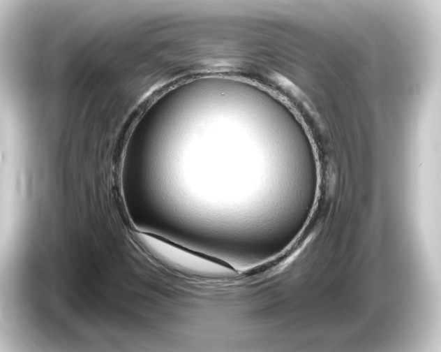 X0000084551449200703161638