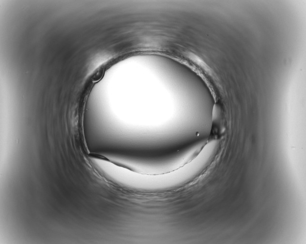 X0000084551450200703161638