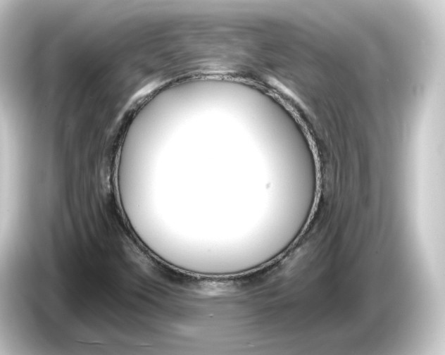 X0000084551451200703161638