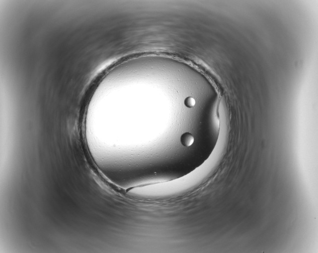 X0000084551452200703161638