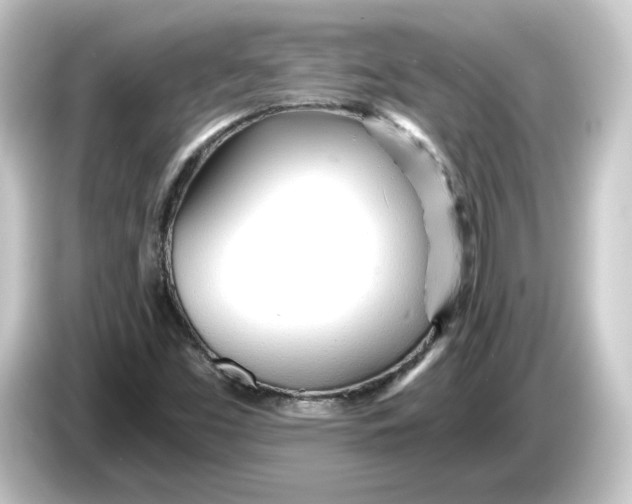 X0000084551453200703161638