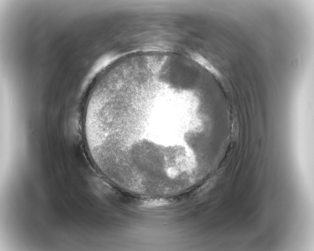 X0000084551454200703161638