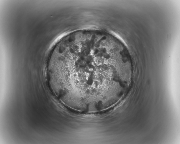 X0000084551455200703161638