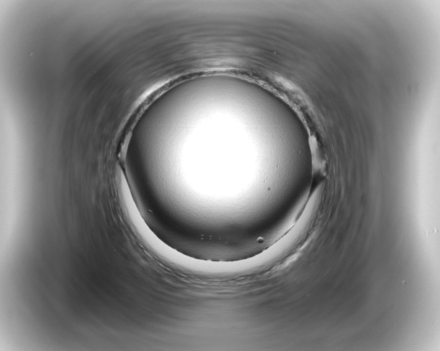 X0000084551457200703161638