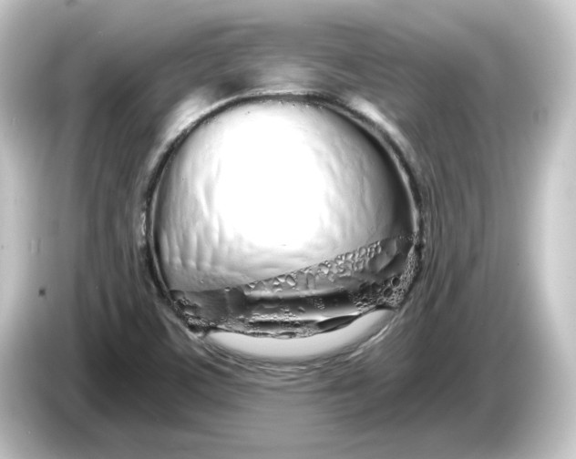 X0000084551459200703161638