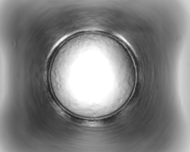 X0000084551460200703161638