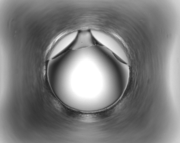 X0000084551461200703161638