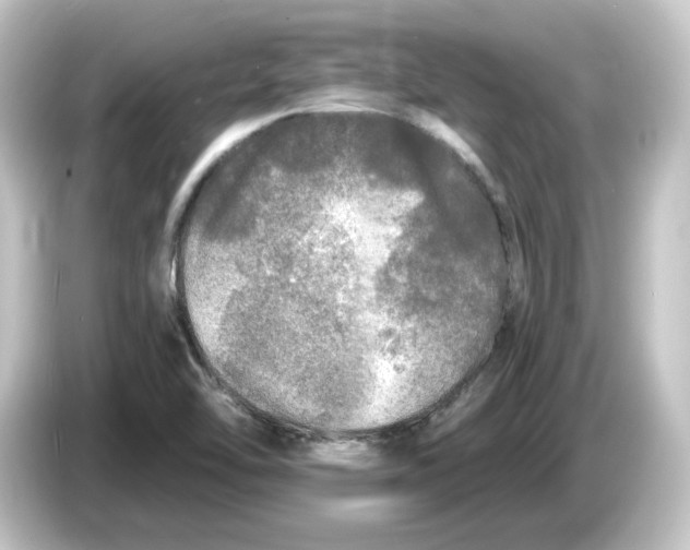 X0000084551462200703161638