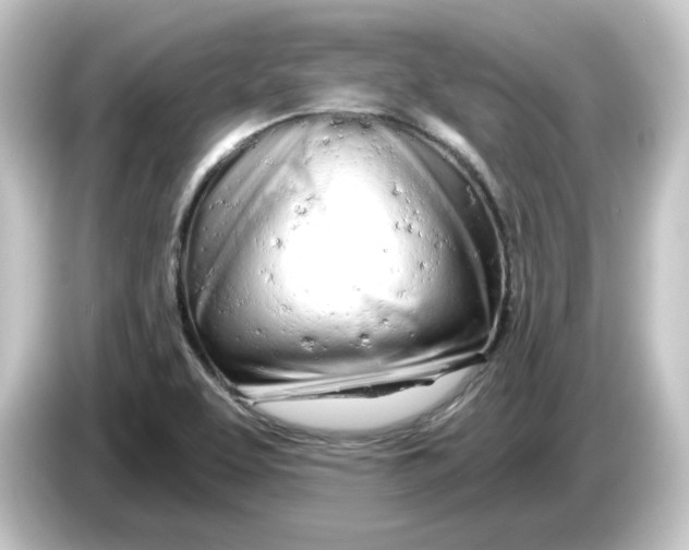 X0000084551463200703161638