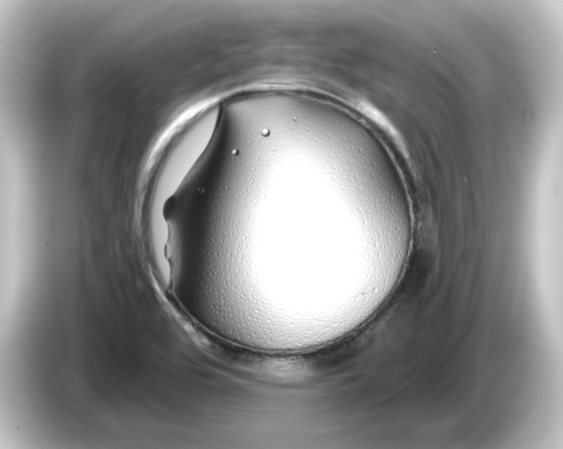 X0000084551464200703161638