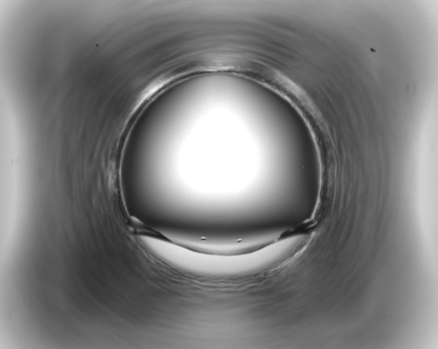 X0000084551465200703161638