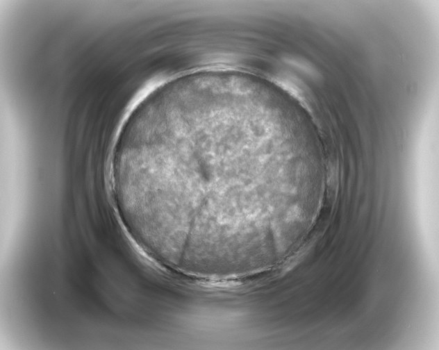 X0000084551466200703161638