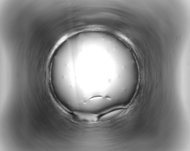 X0000084551467200703161637