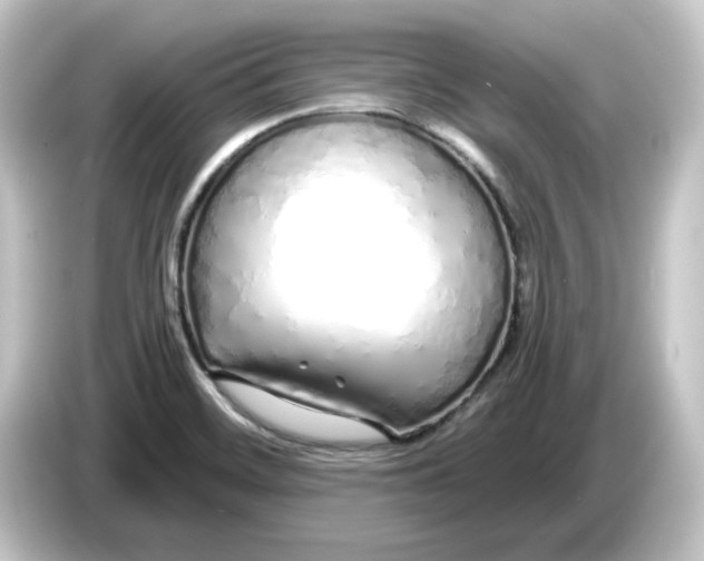 X0000084551468200703161637