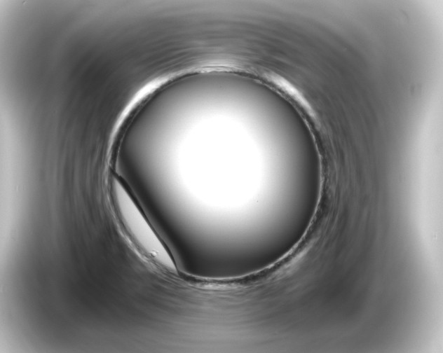 X0000084551469200703161637