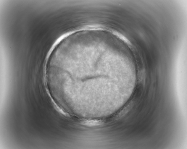 X0000084551470200703161637