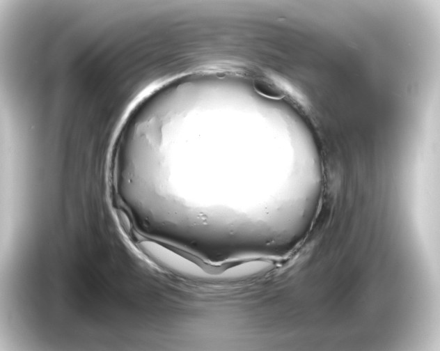 X0000084551471200703161637