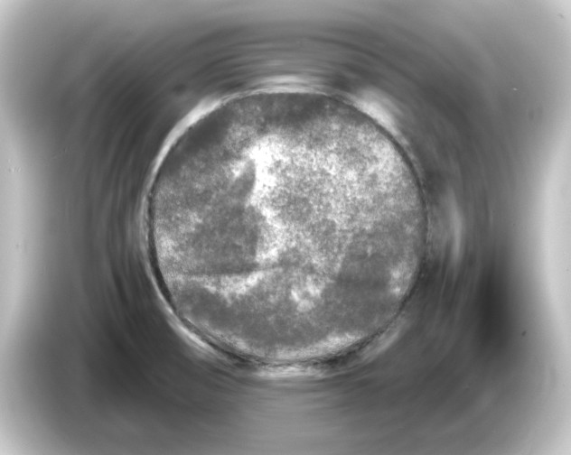 X0000084551474200703161637