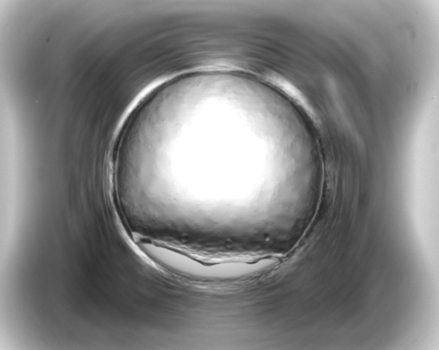 X0000084551476200703161637