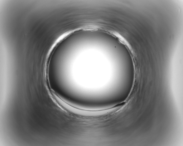 X0000084551477200703161637