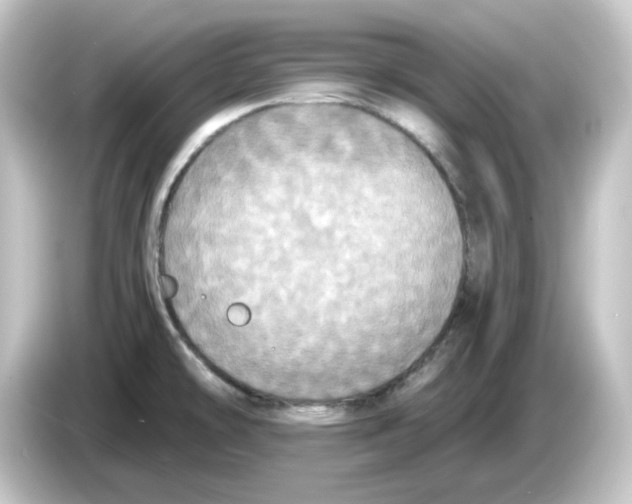 X0000084551478200703161637