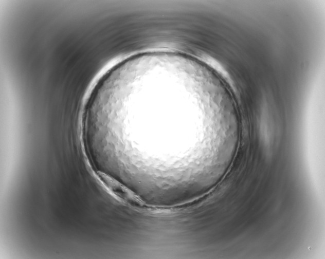 X0000084551480200703161637