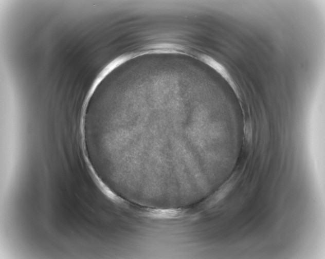 X0000084551482200703161637