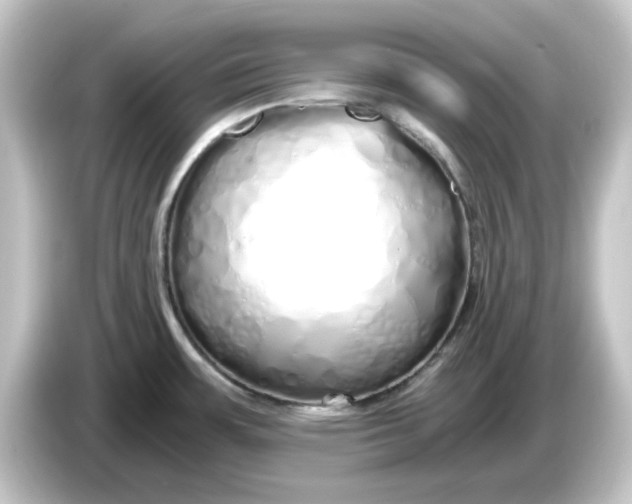 X0000084551483200703161637