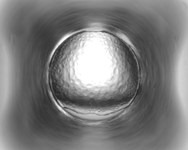 X0000084551484200703161637