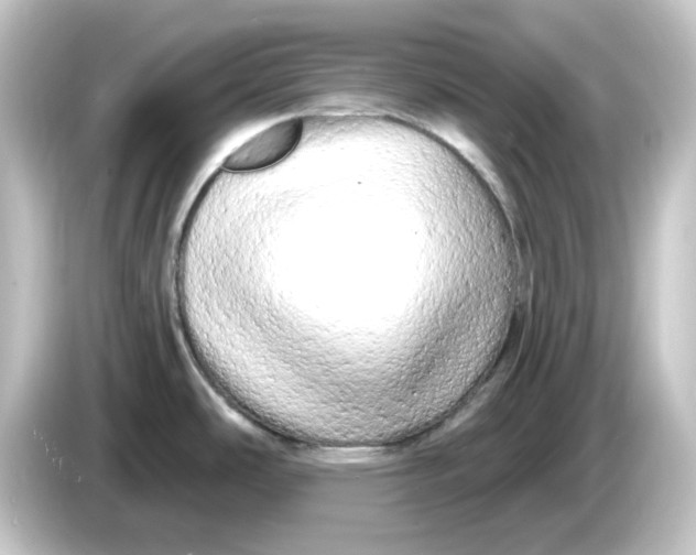 X0000084551486200703161637