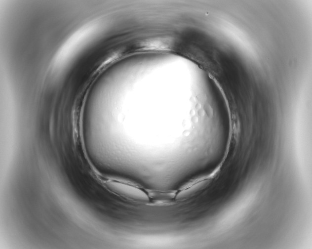 X0000084551487200703161637