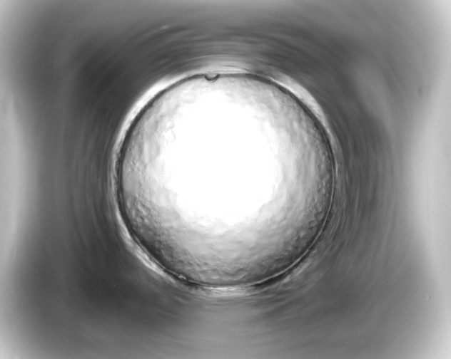 X0000084551488200703161637