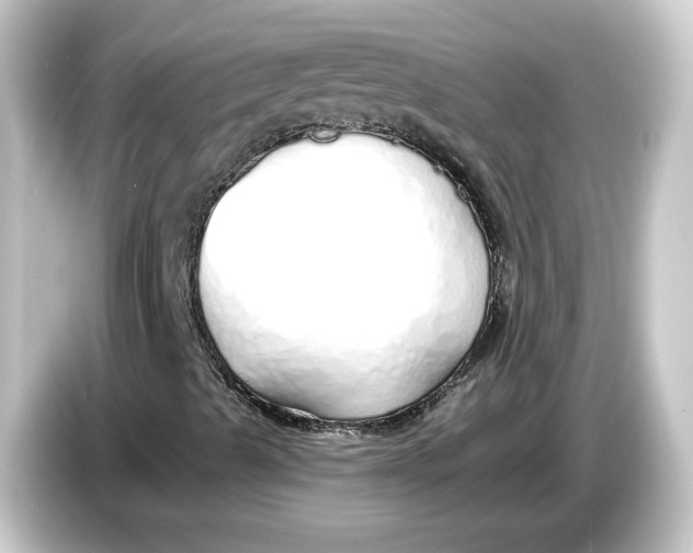 X0000084551489200703161637