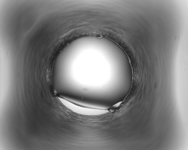 X0000084551490200703161637