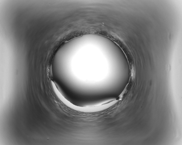 X0000084551492200703161637