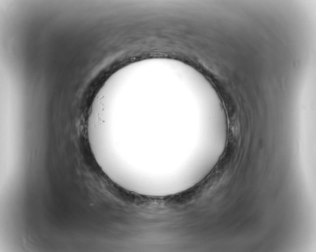 X0000084551495200703161637