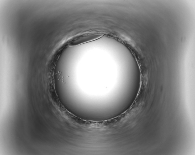 X0000084551496200703161637