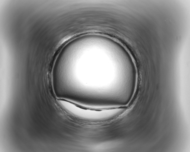 X0000084551497200703161637