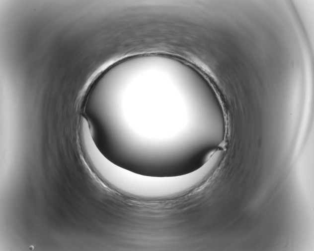 X0000084551500200703161637