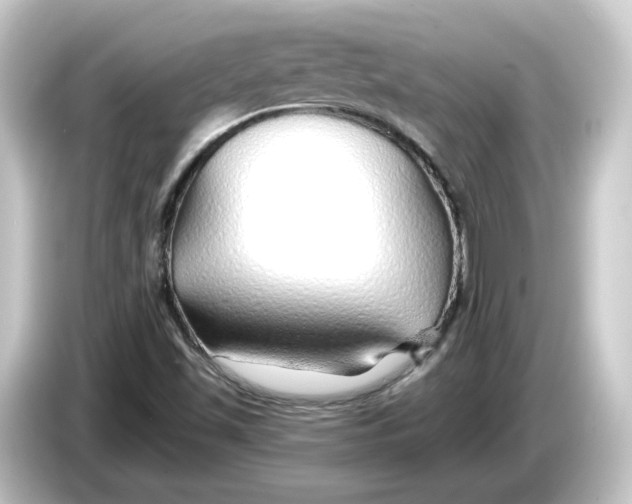 X0000084551501200703161637