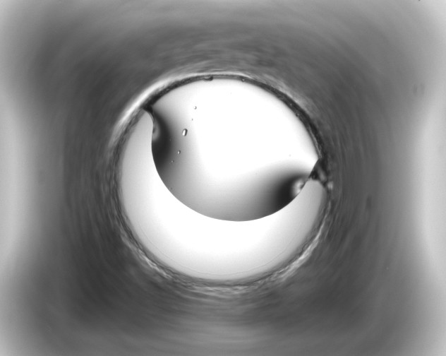 X0000084551502200703161637