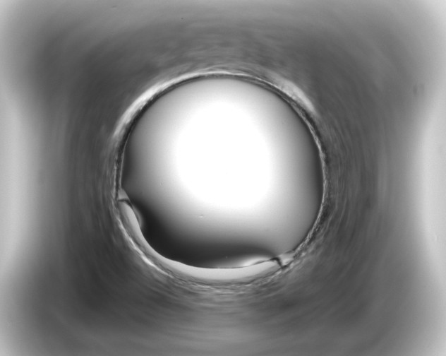 X0000084551504200703161637