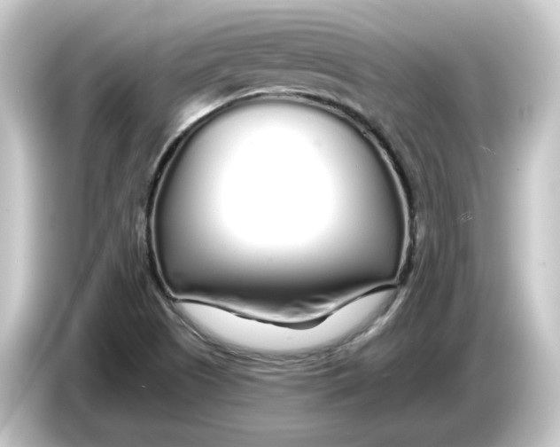 X0000084551505200703161637