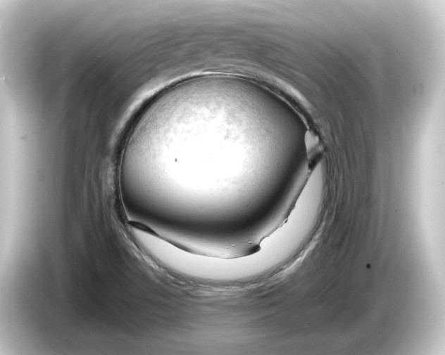 X0000084551506200703161637