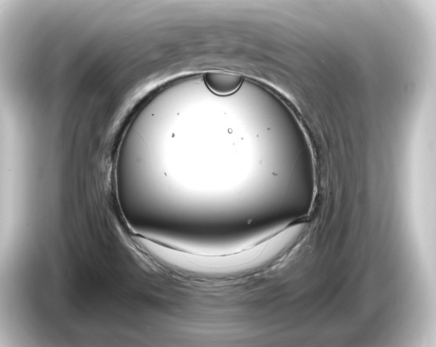 X0000084551507200703161637