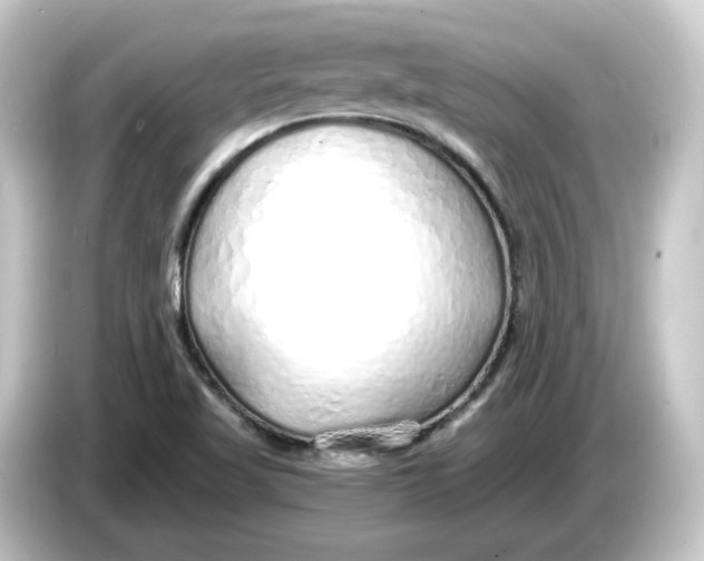 X0000084551509200703161637