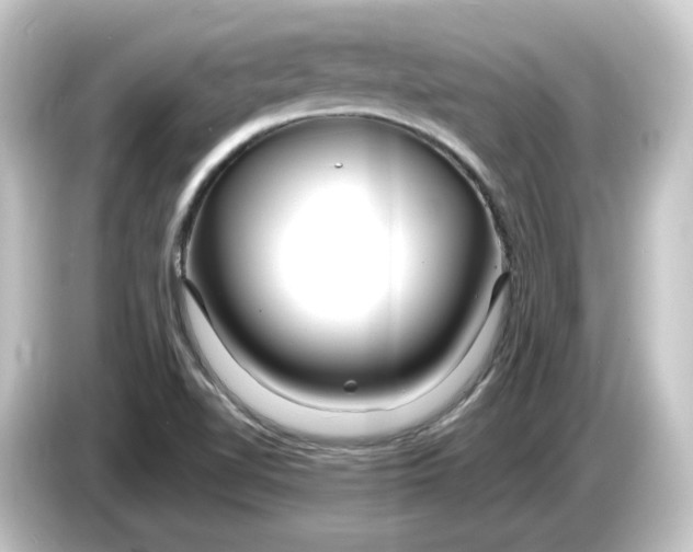 X0000084551510200703161637